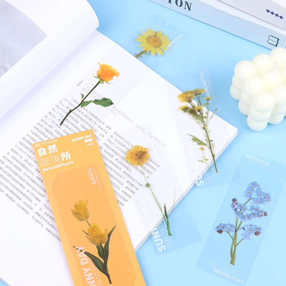 Nature Plants Bookmarks PET Translucent Flower Specimen Bookmarks Leaf Vein Book Note Marker Card Book Marker 5Pcs/Set floral painting bookmark,bookmarks stationery supplies,retro flower bookmark