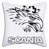 Pillow Covers Cartoon Sofa Decorative Home Double-sided Printing Short Plush Cute Cushion Cover S-S-Scanias 5