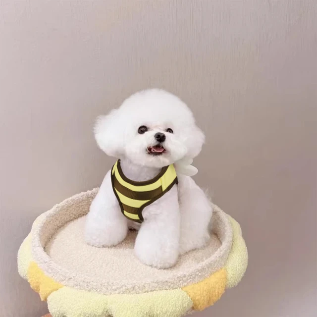 [Popular Chioce] Small Dog Harness and Leash Step in No Chock No Pull Soft Mesh Bee Heart Wing Cute Design With Secure Zinc Allo 5