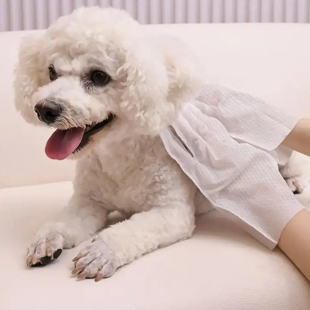 NEW High-end 6PCS Pet Wash Free Cleaning Gloves Pet Disposable Cleaning Gloves Stain Remover Dry Wet Wipes For CAT DOG