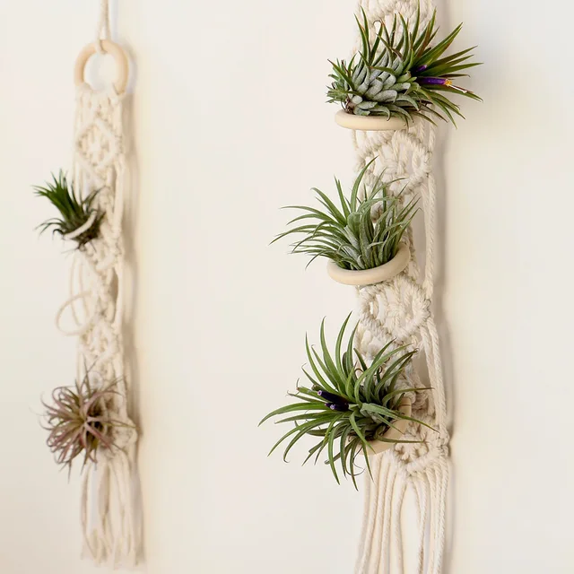 Boho Macrame Air Plant Hanger 1