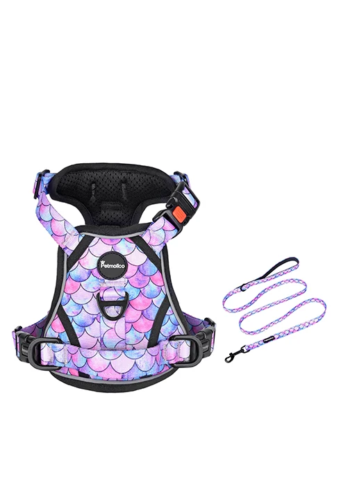dog harness and leash
