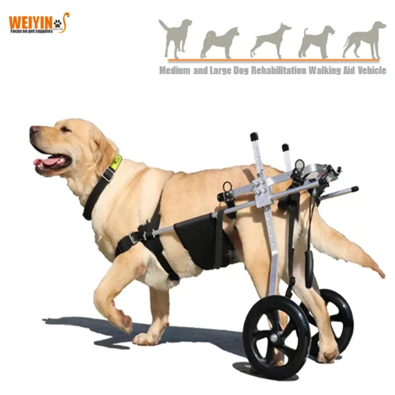 Medium and large dog wheelchair car pet hind limb lumbar paralysis rehabilitation training scooter