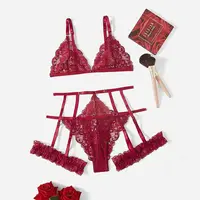 Dames mode grande taille Lingerie vêtements de nuit femmes dentelle nuisette nuisette maille vêtements de nuit sexy sous-vêtements soutien-gorge et slips ensembles de jarretelles 6