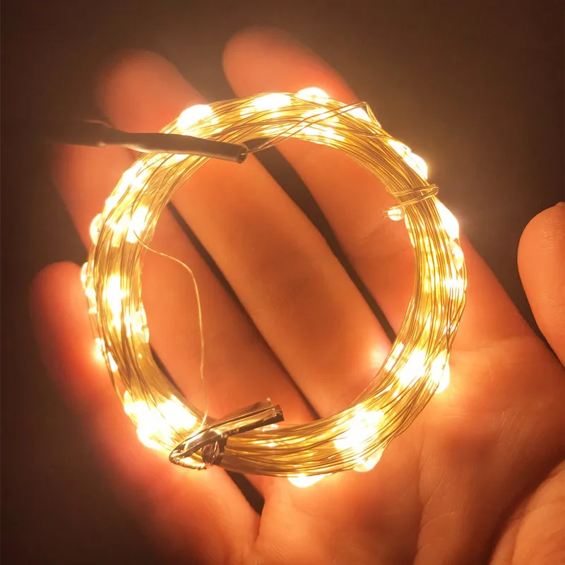 Рисунок 2 - Светодиодный ная Гирлянда для общежития