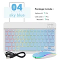 Blue-And Mouse