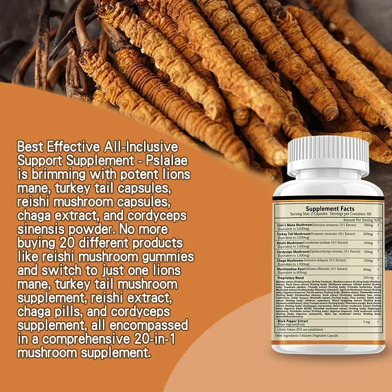 Lion's Mane Benefit Brain & Memory Immune Gain Energy Support Mood and Stress