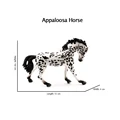 Appaloosa 3