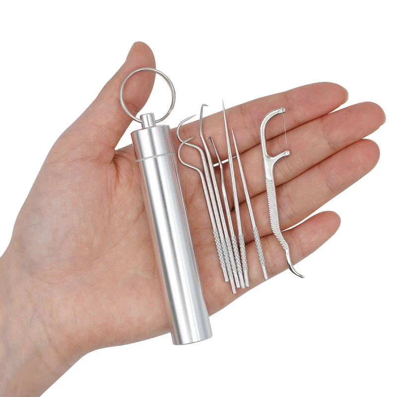 

7Pcs Stainless Steel Toothpick Set Portable Teeth Cleaning Tools Tooth Flossing Reusable Toothpicks Tartar Removal Cleaner