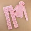 Velvet Tracksuit for Women 2025 Women's Hooded Jacket and Pants Suit Two Piece Set Women's Outfit 3
