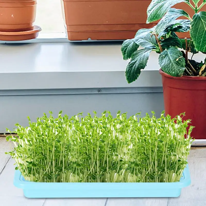 Seedling Sprouter Tray Soil-less Big Capacity Germination Tray Microgreens Plant Propagation Trays Healthy Wheatgrass Grower 3