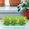 Seedling Sprouter Tray Soil-less Big Capacity Germination Tray Microgreens Plant Propagation Trays Healthy Wheatgrass Grower 3