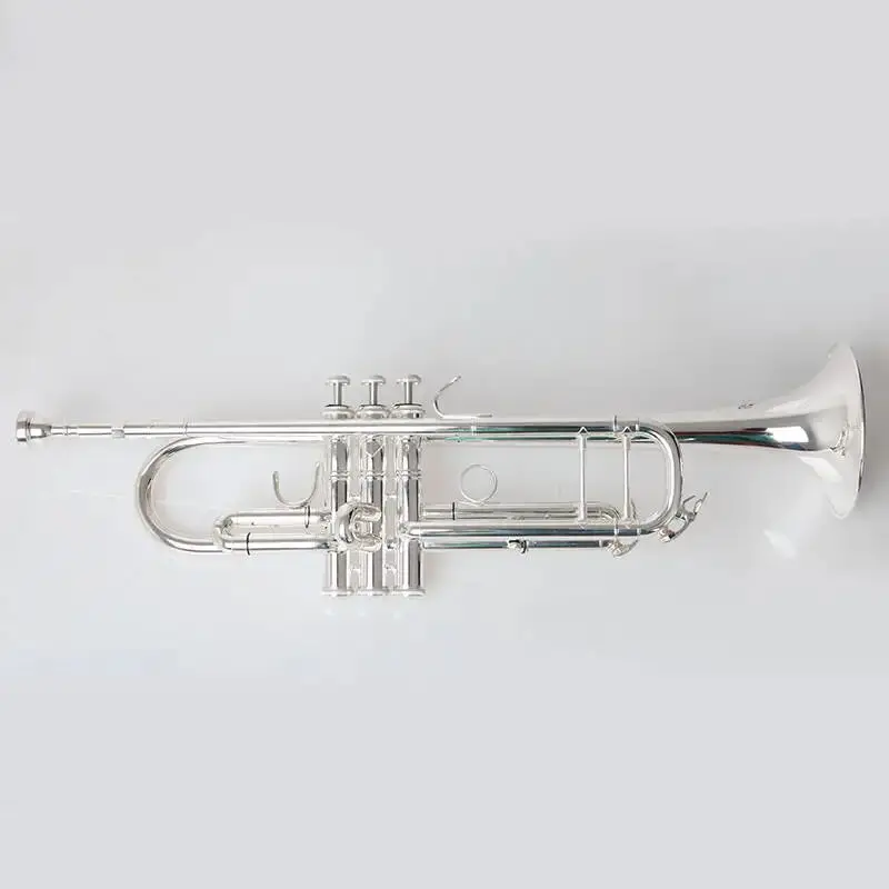 new Trumpet Model 43 Silver Plated LT180S-43 Trumpete Give me two nozzles