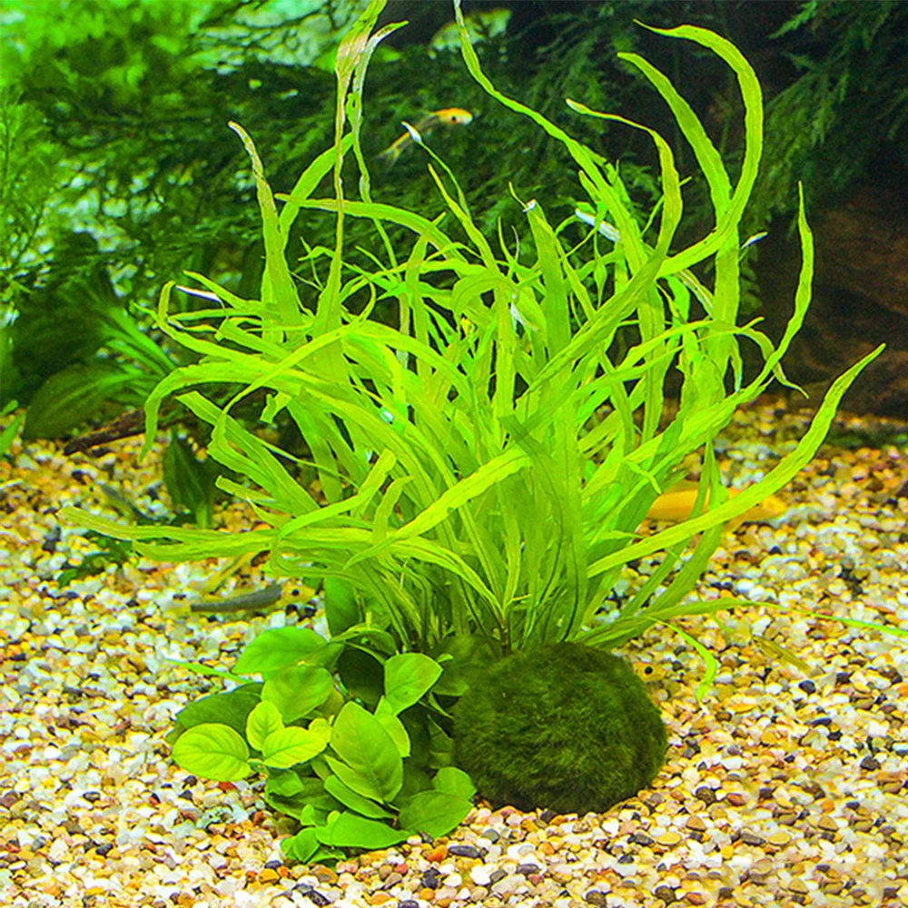 4PCS Aquarium Moss Balls, Artificial Aquarium Plants Green Moss Decorative  Ball for Fish Tank Ornaments Freshwater Terrarium Moss Decoration 