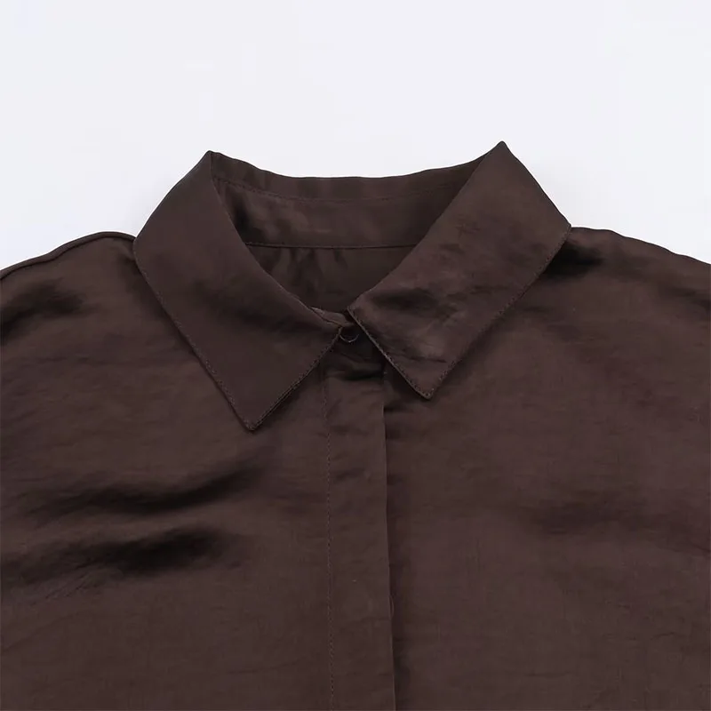 Chic Simple Brown Satin Shirts for Women 2025 New Fashion Long Sleeve Women's Casual Loose Shirt And Blouse Woman Top