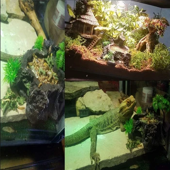 Sturdy Reptile Feeder Bowl 1