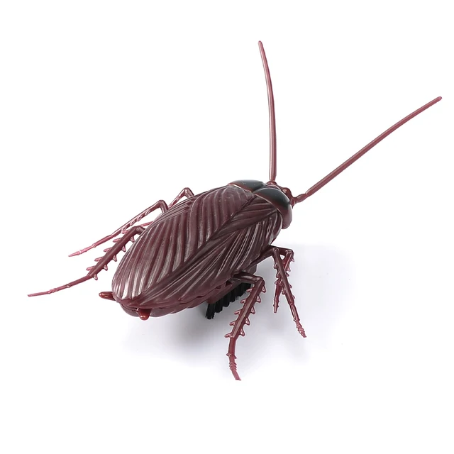 Electric Crawling Cockroach Simulation Vibrate Roach Animal Kids Children Small Toy for Kids Children Gifts 5