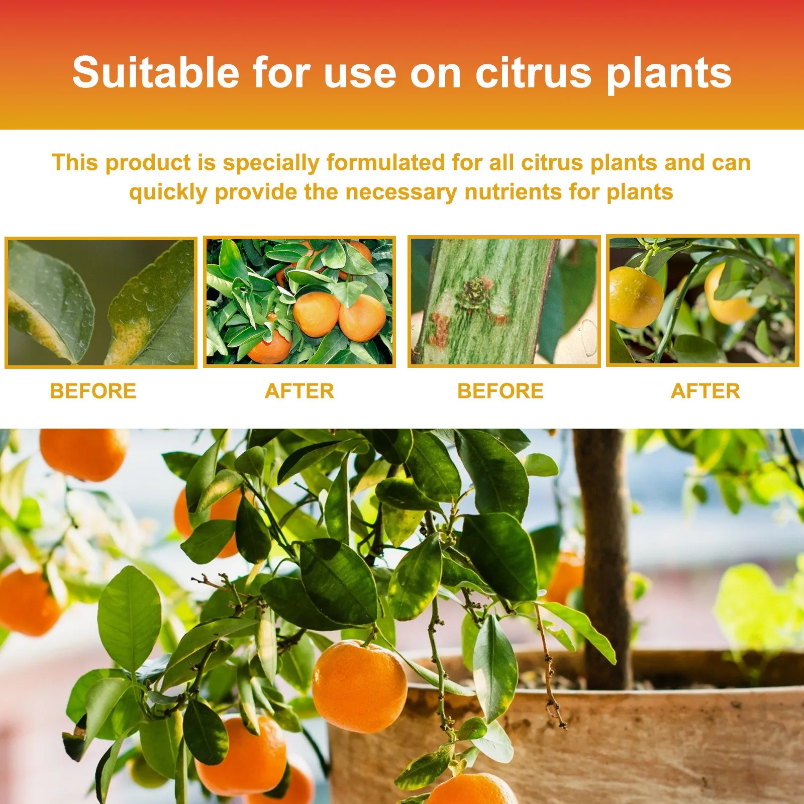100ml MOONSPRY Citrustree Plant Fertilizer Orange Fruit Tree Plant Root Beauty Fruit Growth Nutrient Solution plant fertilizing concentrate organic fertilizer