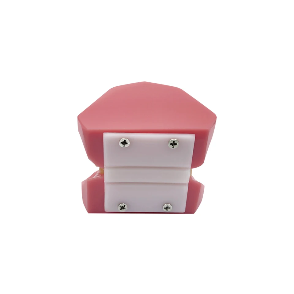 歯科歯模型矯正模型ブラケット付き 1/4 球形セルフロック式教育研究用