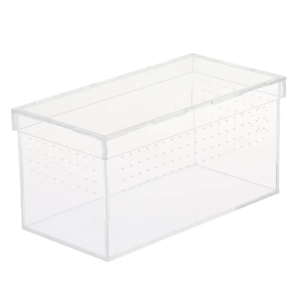 Plastic Reptile Vivarium Terrarium Easy to Observe with Reptile Terrarium Accessories for Small Animal Care