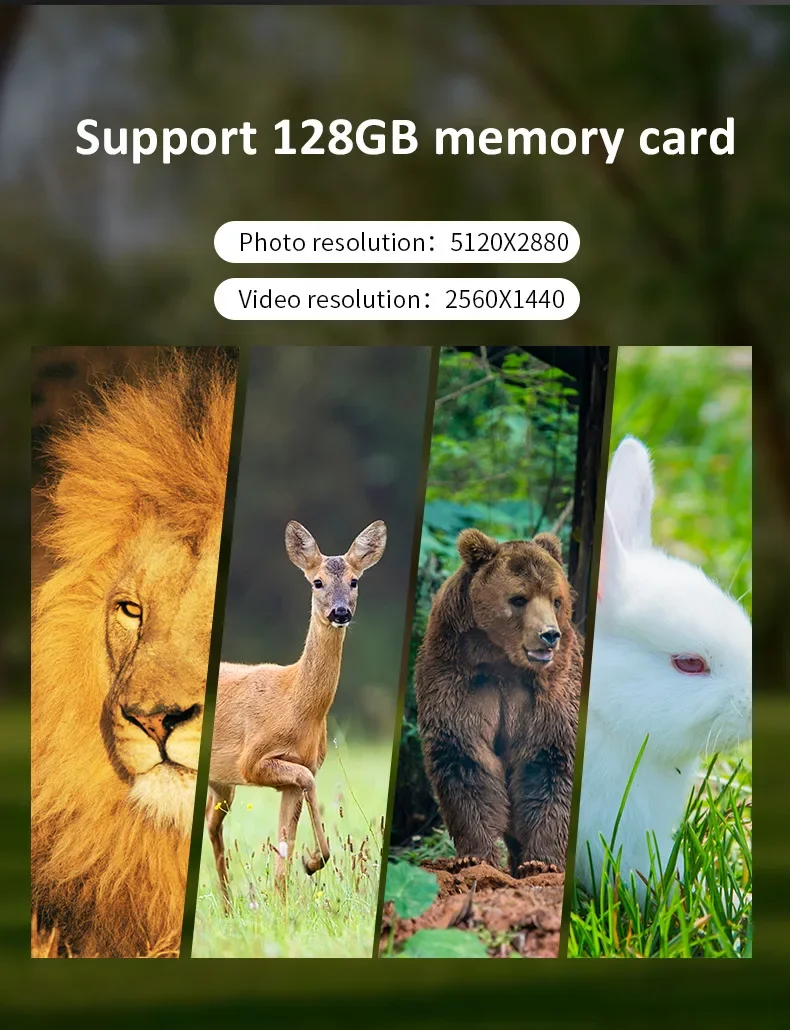 2560x1440 4G Solar Trail Camera, The ReconForce 2560 Trail Camera captures high-quality photos and videos with a maximum memory capacity of up to 128GB.