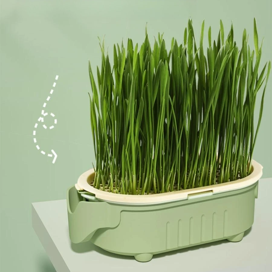 Soilless hydroponic growing cup Hydroponic cultivation hydroponic growing cup