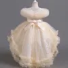 Shiny Toddler Little Girls Ruffled High-Low Wedding Flower Girl Birthday Party Graduation Ceremony Pageant Holiday Easter Dress 5