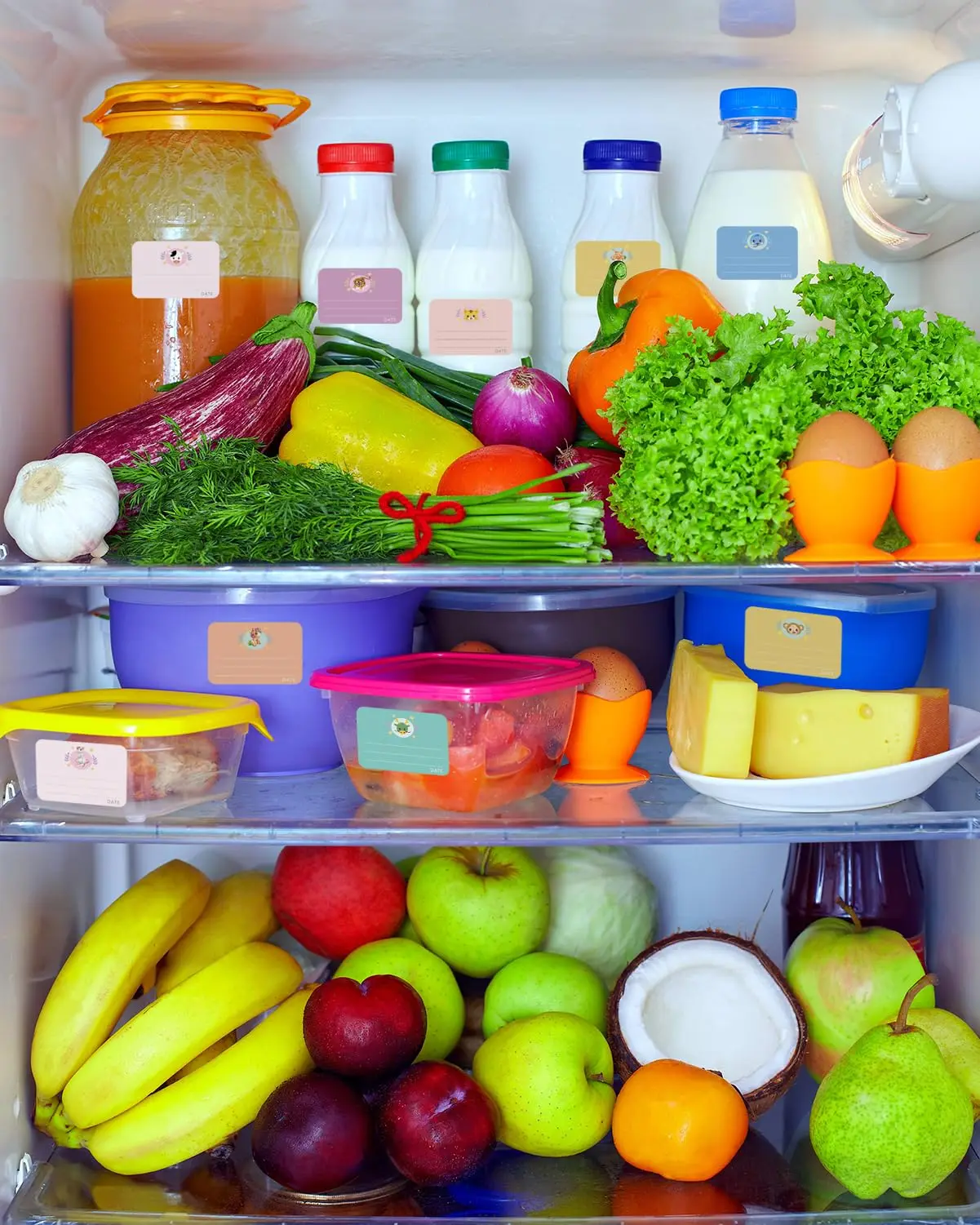  젖병 라벨, 학교 용품, 12 동물 디자인, 식기 세척기 안전 스티커, 어린이 용품, 720 개