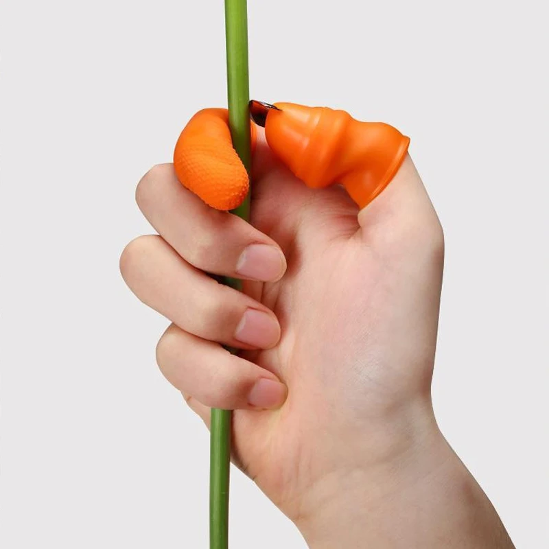 Fruit Vegetable Picker Farm Vegetable Fruit Picker Pickle Pepper Pickle Tip Picker Iron Nail Pick Grape for Garden Tools Garden Tools