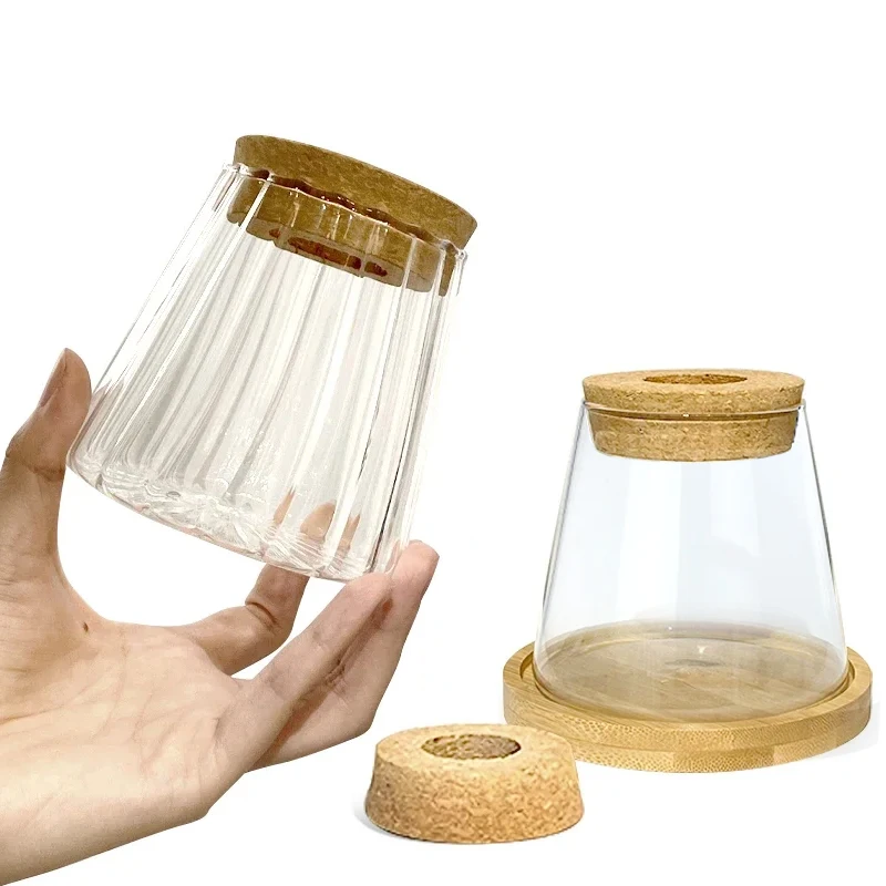 Nordic Simple Transparent Glass Vase