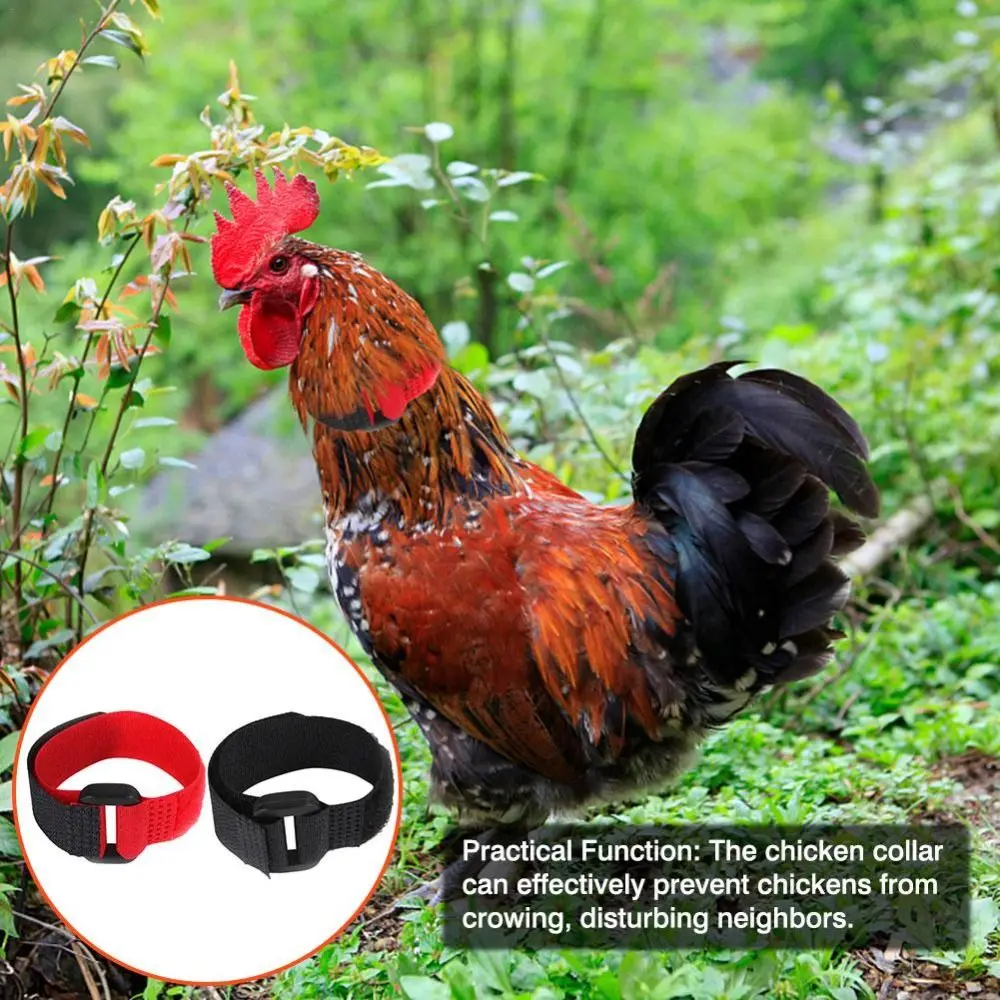 Chicken Collar Anti-Hook Noise Free Neckband Collars 2 PCS No Crow Rooster Collar to Prevent Chickens from Crowing Supplies rooster neck collar