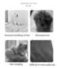 Click Hair Removal & Knot Remover Comb for Cats/Dogs, Stainless Steel Blades, Safe Detangling Tool with Ergonomic Handle 5