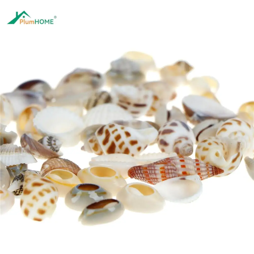 30 Gram Mix Natural Sea Shells for Beach Decor Craft