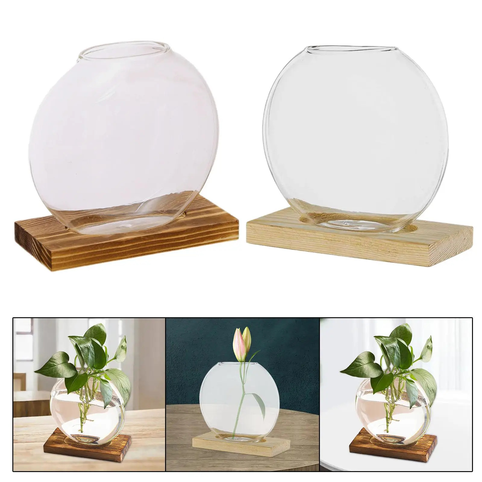 Flower Vase, Glass Planter, Terrarium, Plant Growing Station with Wooden Stand
