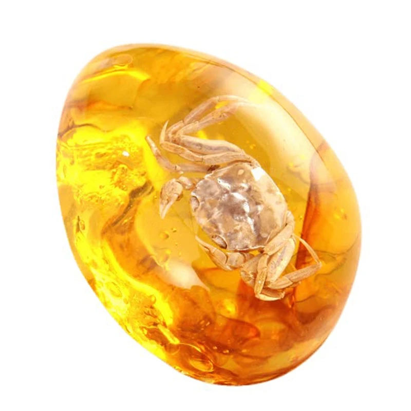 Toyvian 5pcs Amber Kids Amber Toys Amber Stone Pendant Amber Fossils  Specimens in Amber Crystal Specimen Samples Stones Resin Amber Resin  Animals