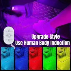 USB Rechargeable Wireless Motion Sensor LED Light for Trunk and Door (Human Body Induction)