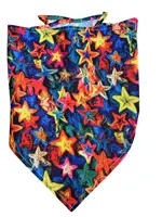 60pc/lot Cartoon3D Flower Rainbow Printing Puppy Cat Dog Bandanas Scarf Tie Handkercheif  Pet Accessories Grooming Products CH71 2