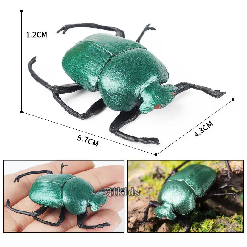 thumbnail image 1 of Simulación de insecto, escarabajo, estiércol, escarabajo verde, gusano, modelo, adorno, huevo retorcido, figura de acción, modelo, JUGUETES, 1 of 5