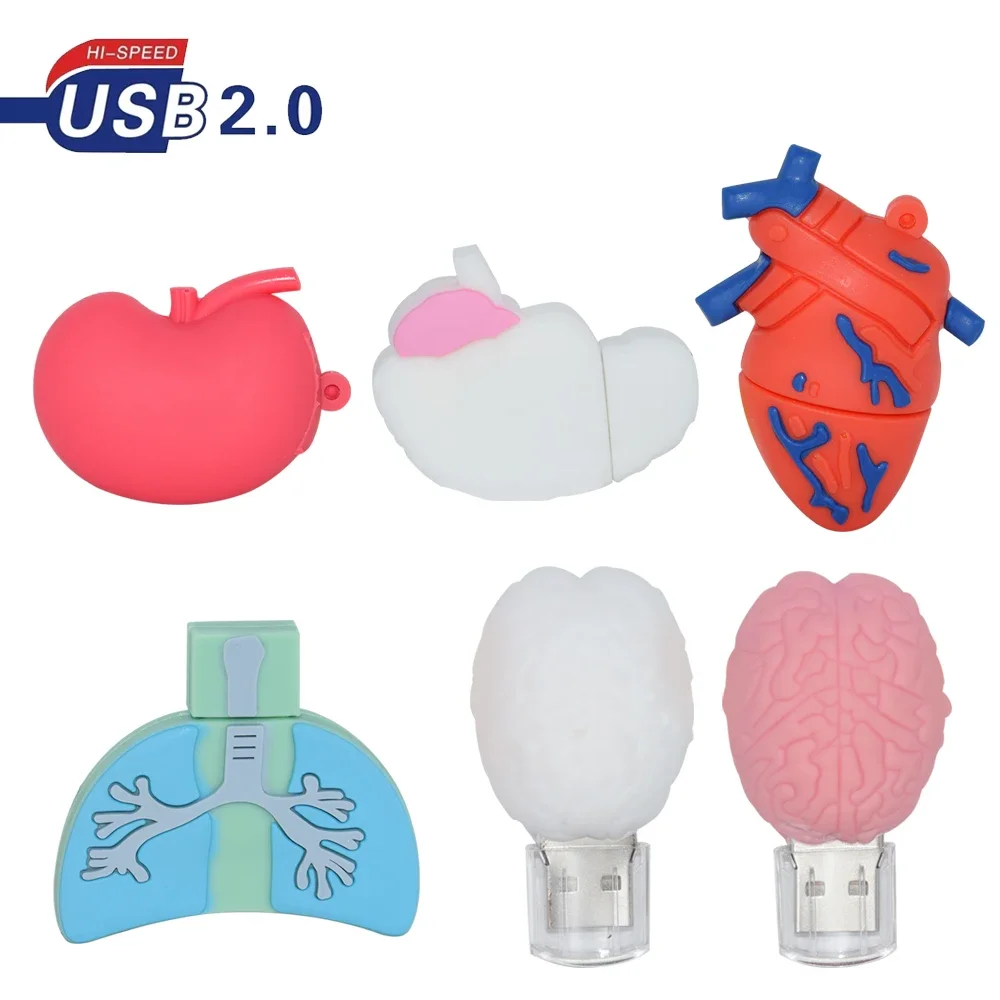 

Cartoon Human Organs USB Flash Drive Heart Brain Pendrive 4GB 8G 16GB 32GB 64GB 128GB Memoria Usb Stick Pen Drive Cle Usb