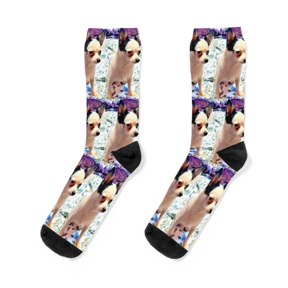 Iggy Socks designer socks Climbing socks warm socks Socks For Man Women's