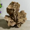 Natural From The Gobi Desert Rose, Quartz Crystal Selenium Stone Rough Ore,Mineral Reiki Healing Stone,Degaussing Decor 5