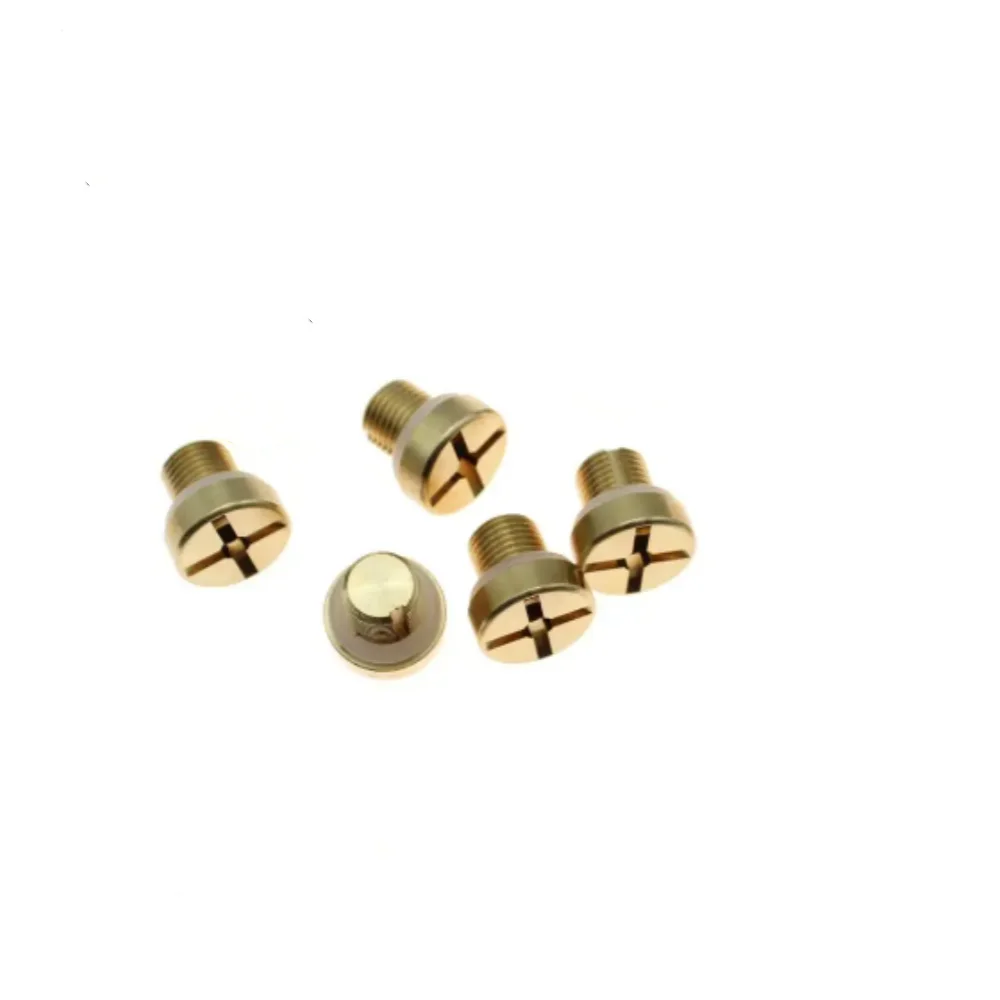 Bouchons Vis Purge Tuyau Eau Wai Danie - Lot De 2 Pour BMW E36 E39 E46 Et Mini Cooper