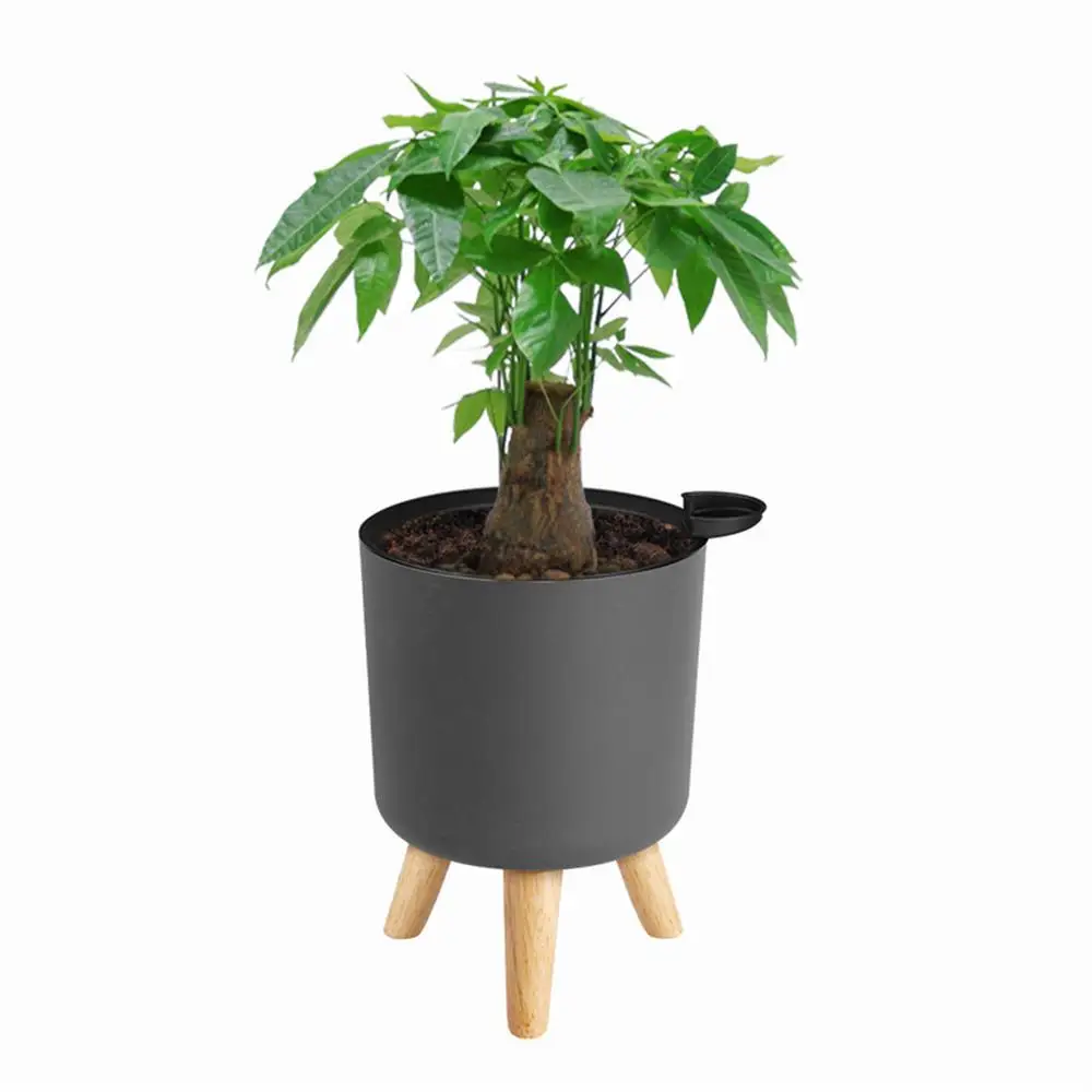 Vaso de plantas verdes com pernas de