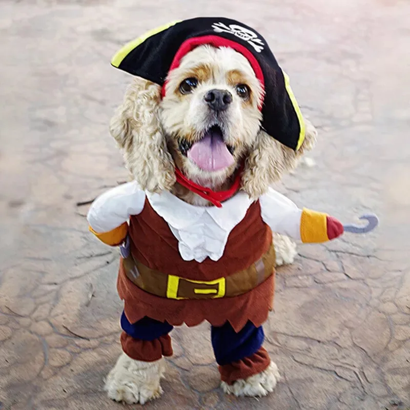 Déguisement Halloween Pirate Élégant pour Petit Chien