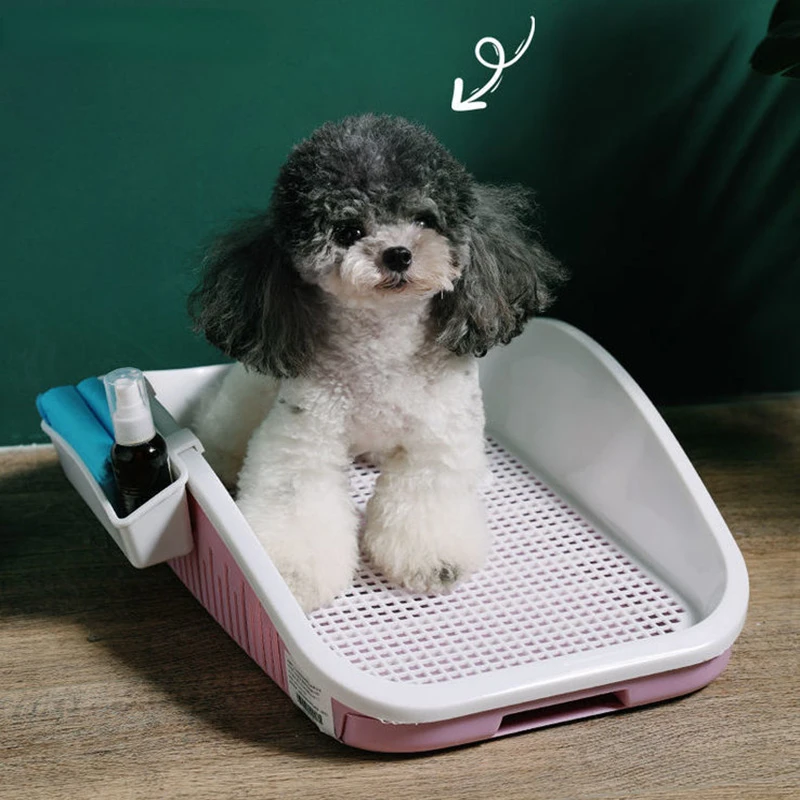 Animal Pet Dog Hygiene Cleaning Supplies Portable Dog Toilet Double Layer Mat Training Cat Puppy Pee Toilet Accessories