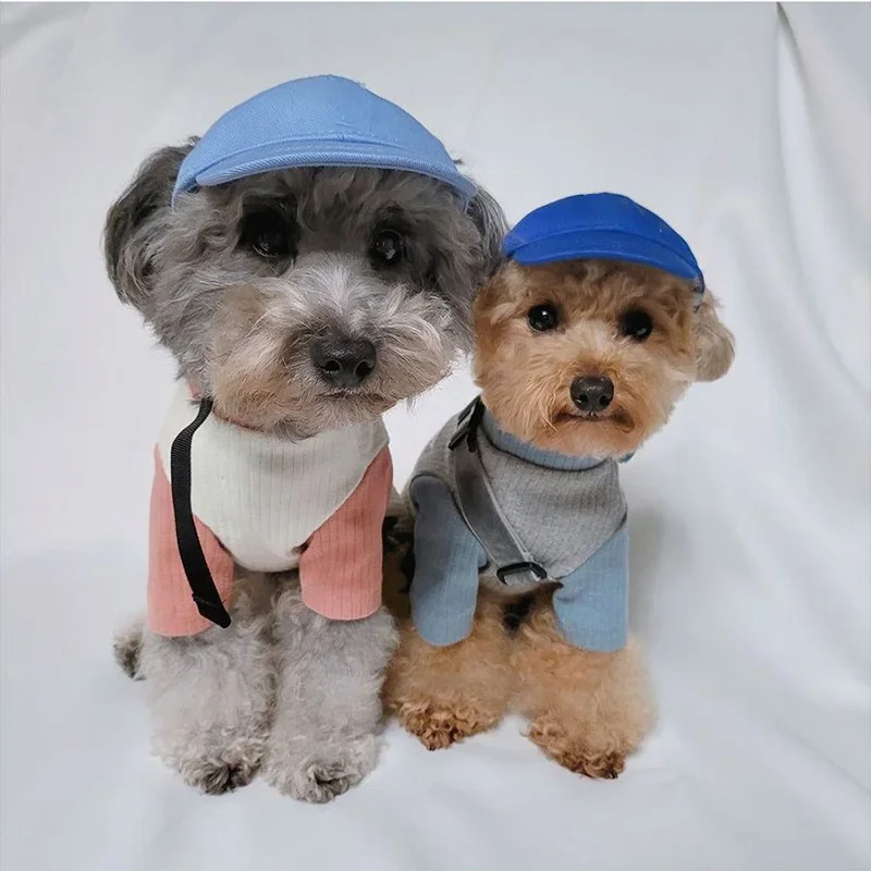 210813-5f04c1.jpg Casquette de Baseball pour Petits Chiens - 2025 - Doglovedesign : Vêtement et accessoires pour chiens