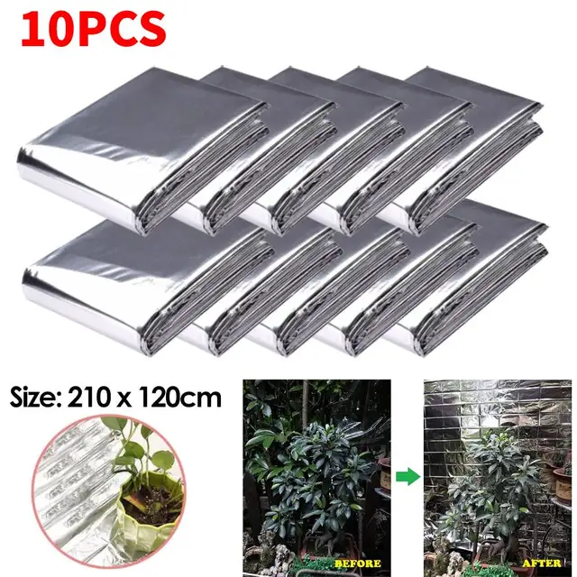 10Pcs
