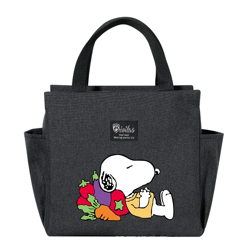 Snoopy Lunch Bag Portable Cooler Tote Thermal Food Drink Carrier for Kids