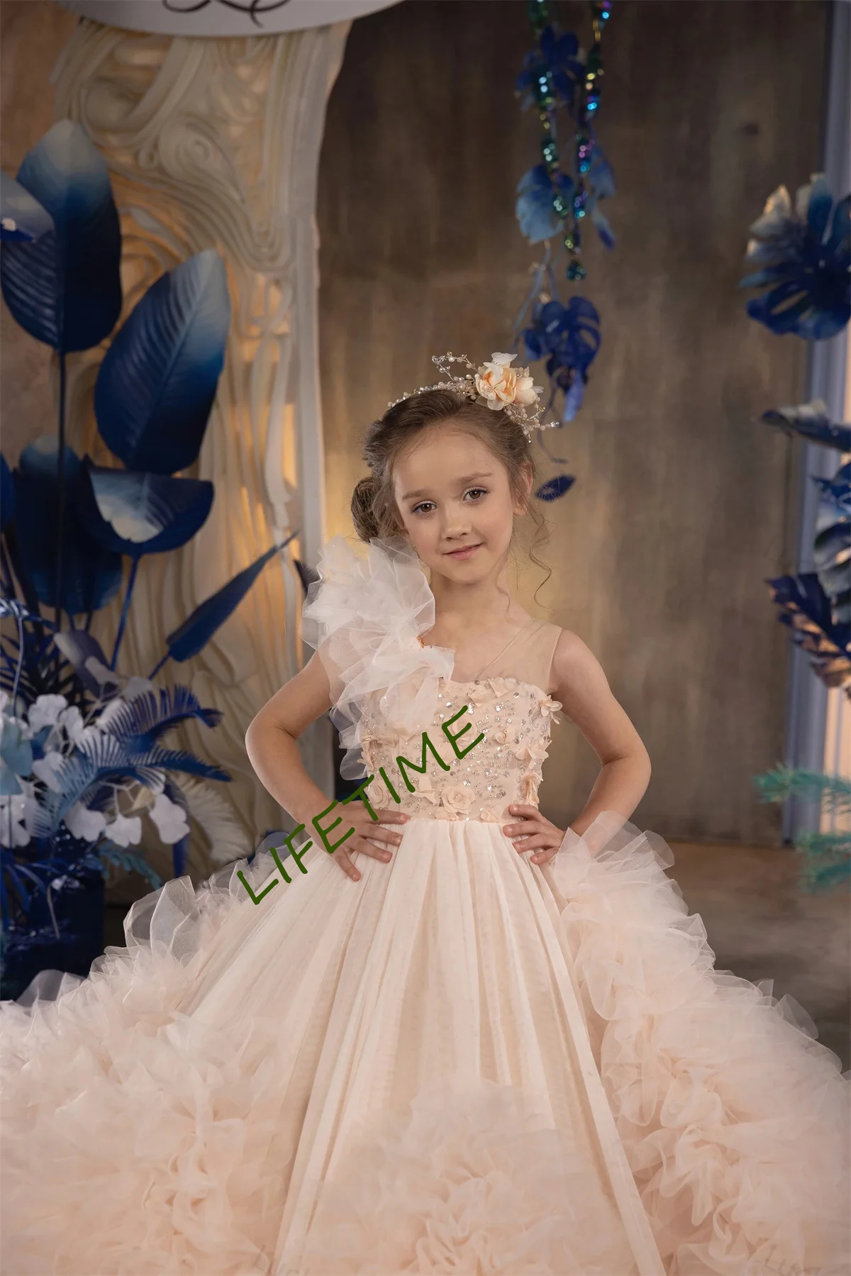  ũ ö  ǽ, ǫ ر ø, Ƽ μҸ,   , Ÿ  ǽ