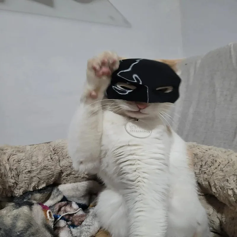 Cat Bat Mask Bat Cat Avenger Mask Cosplay Creative Black Cat Bat Mask for Halloween Cosplay Decorative Man Face